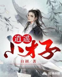 逍遥小才子剧情简介