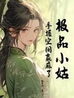 极品小姑子刘敏电视剧