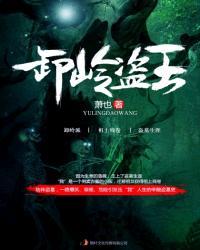 卸岭盗王tXt