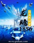 龙腾18套宿主